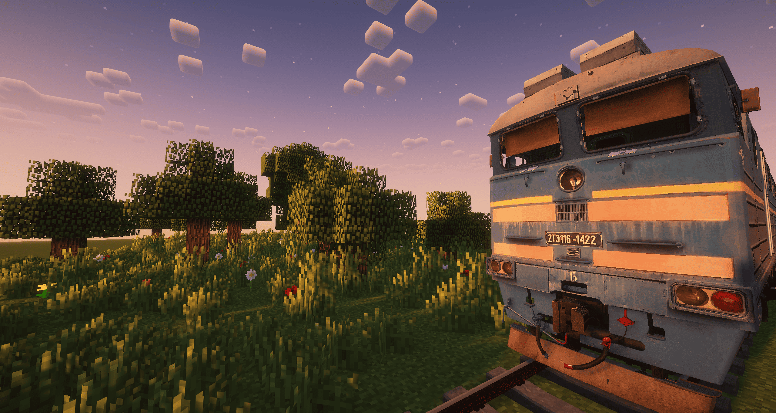 Общий вид поезда